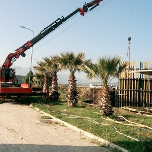 Tire Mobil Vinç Kiralama